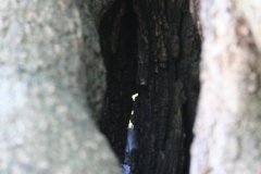 IMG_5049