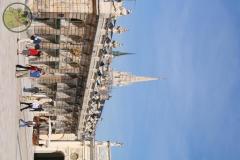 IMG_1655