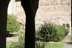 IMG_5874