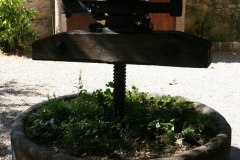 IMG_5899
