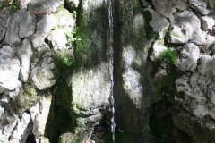 IMG_5901
