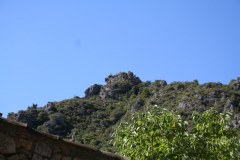 IMG_5902