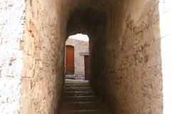 IMG_5909