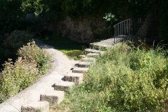 IMG_5912