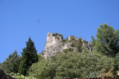 IMG_5916