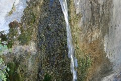 IMG_5917