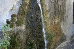 IMG_5918