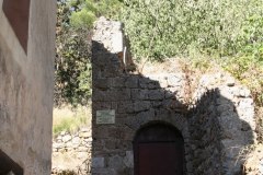 IMG_5926