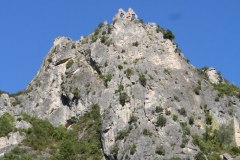 IMG_5931