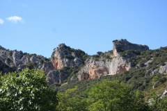 IMG_5934