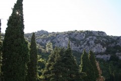 IMG_5942