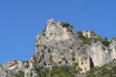 IMG_5945