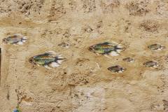 244525947_10222002875153953_8846201305822796515_n