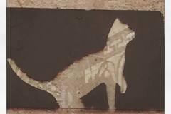 10481503_512386735583922_2690965388783428412_o_512386735583922