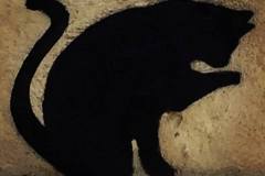 11692803_500453186777277_6099979643049992229_n_500453186777277