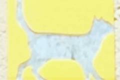 11986306_530691697086759_598056784273025638_n_530691697086759