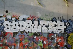 IMG_6036