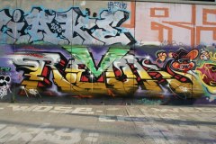 IMG_6050