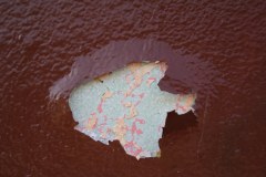 IMG_6069