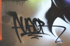 IMG_6075