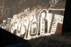 IMG_6246