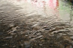 IMG_6253