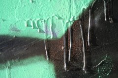 IMG_6262