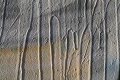 IMG_6270