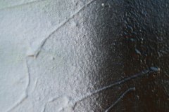 IMG_6280