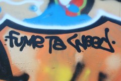 IMG_6281