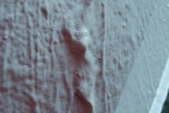 IMG_6289
