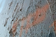 IMG_6290