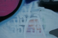 IMG_6292