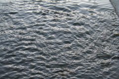 IMG_6303
