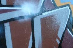 IMG_6304