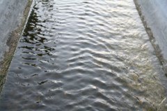IMG_6307