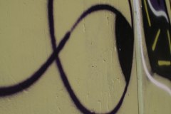 IMG_7444