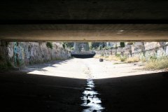 IMG_7459