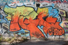 IMG_7461