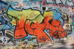 IMG_7479
