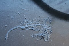 IMG_7484