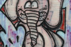 IMG_7660