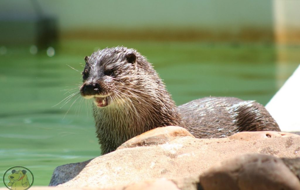 Zoo de Lunaret
